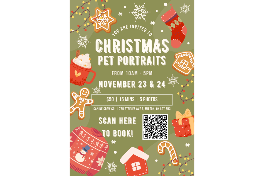 Christmas Pet Portraits