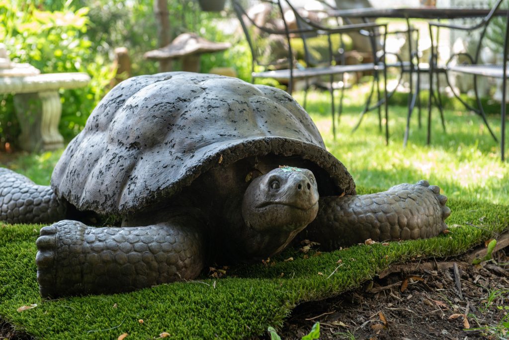 A large, detailed sculpture of a turtle with a dark, textured shell and visible scales on its legs, resting on a bed of green moss in a garden setting.