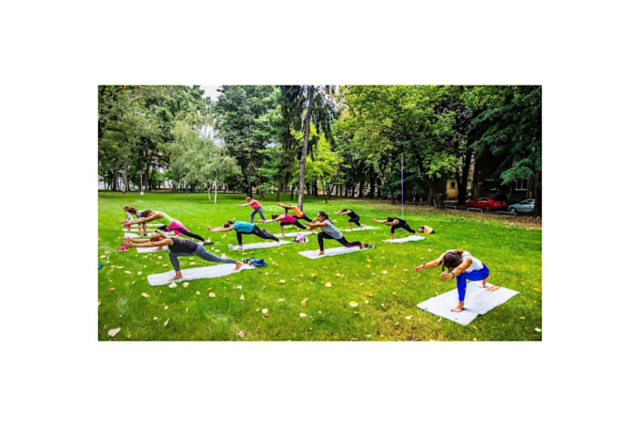 Milton Yoga in the Park