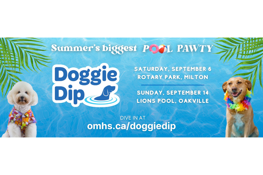 Milton Doggie Dip