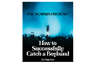 PAC SR How to Successfully Catch a Boyband