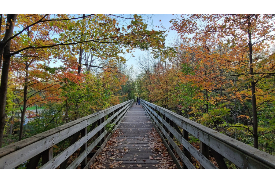 Grace Church's Walking Group at Mill Pond