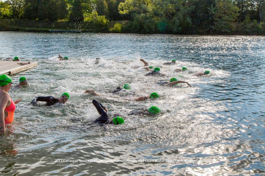 Mudskipper Milton and the Milton Open Water Swim