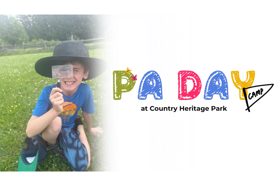 PA DAY CAMP - Pumpkins in the Park