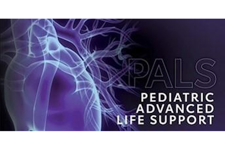 Pediatric Advanced Life Support (PALS)