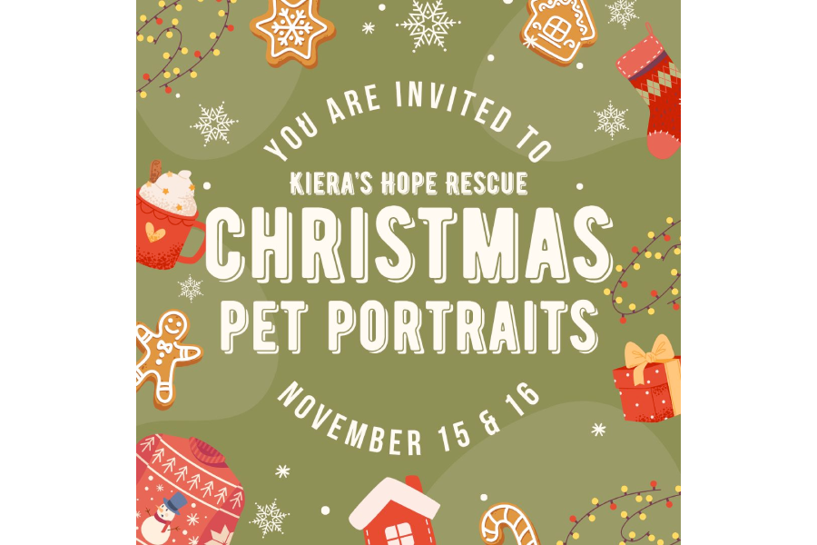 Annual Holiday Pet Portraits