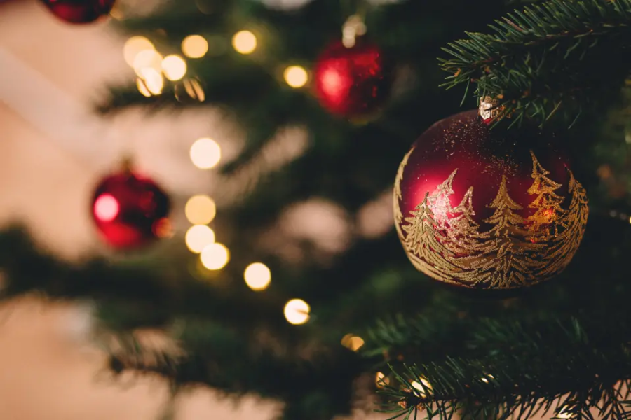Christmasfest Sale