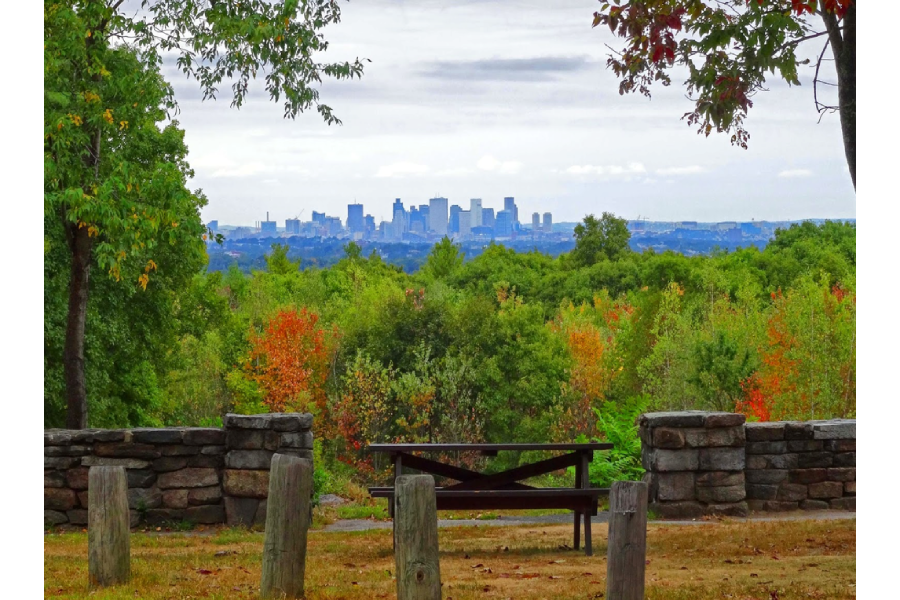 Explore Recreation at Milton Community Centres