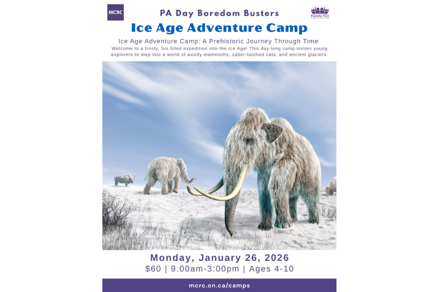PA Day Boredom Buster: Ice Age Adventure Camp