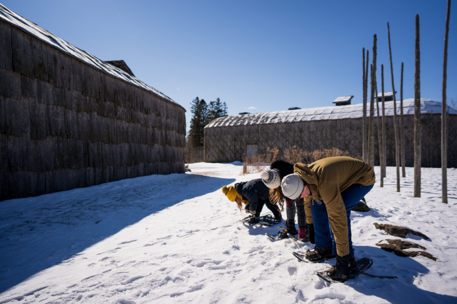 Winter Wanderings: Guided Snowshoeing Tours