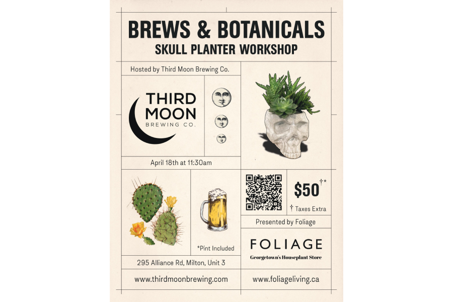Skull Planter Succulent Workshop w/ Foliage!