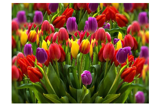 Spring Bouquet