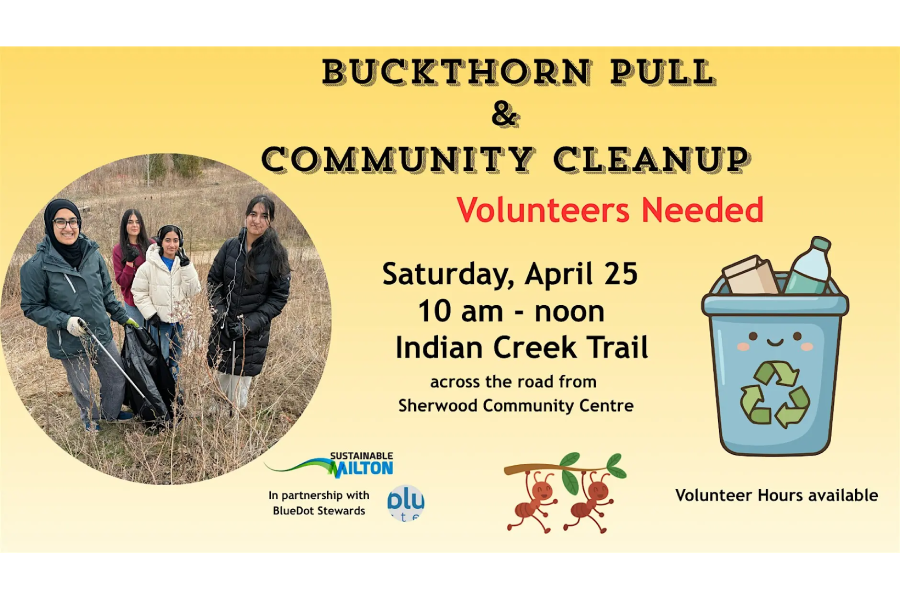Buckthorn Pull and Community Cleanup at Indian Creek Trail