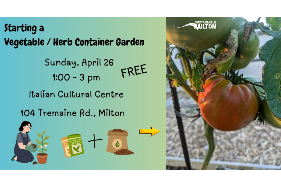 Starting a Vegetable/Herb Container Garden