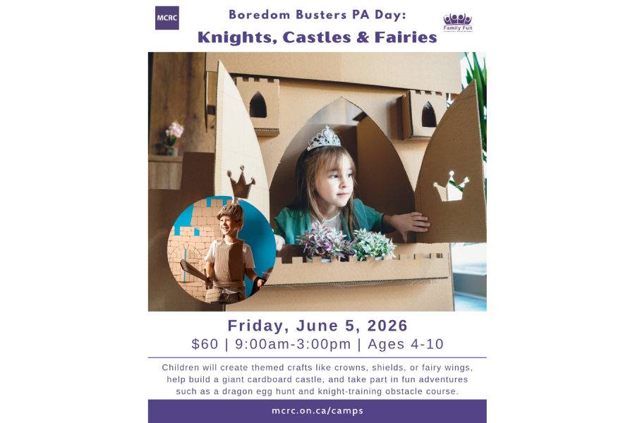 Boredom Busters: Knights, Castles & Fairies