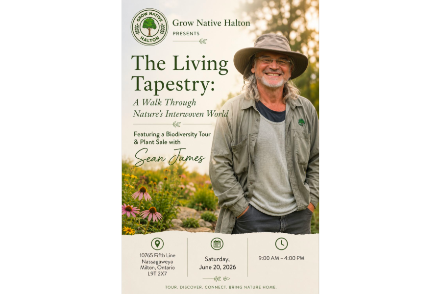 Grow Native Halton: The Living Tapestry: A Walk Through Nature’s Interwoven World