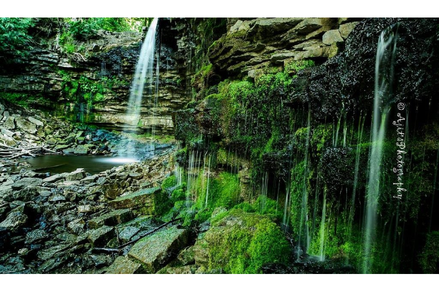 Hiking The Hilton Falls Trail