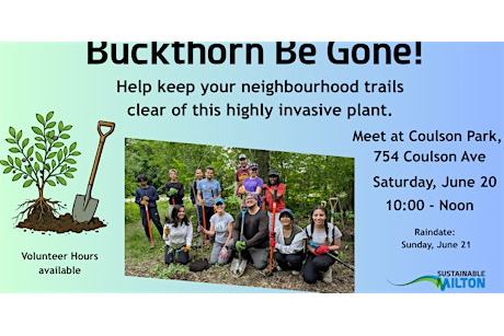 Invasive Weed Removal