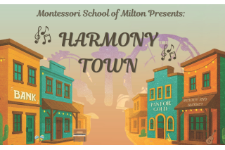 Montessori Harmony Town