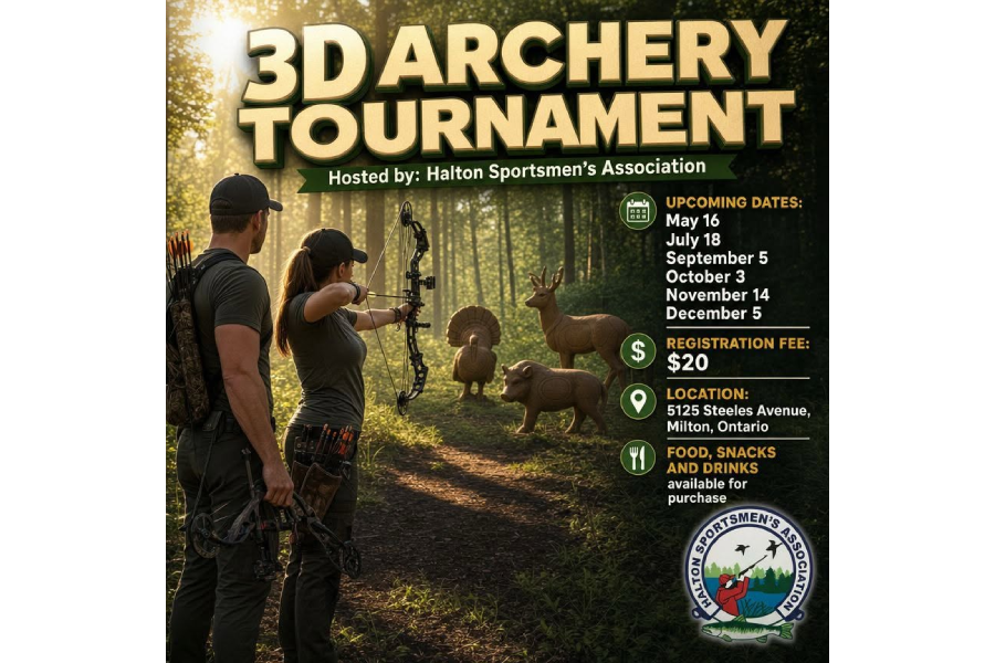 3D Archery Shoot