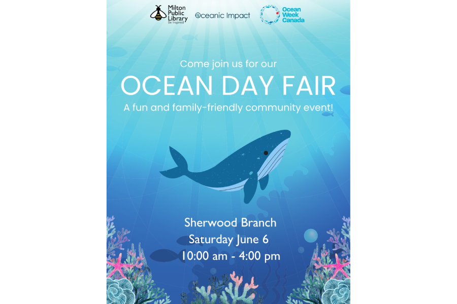 Ocean Day Fair