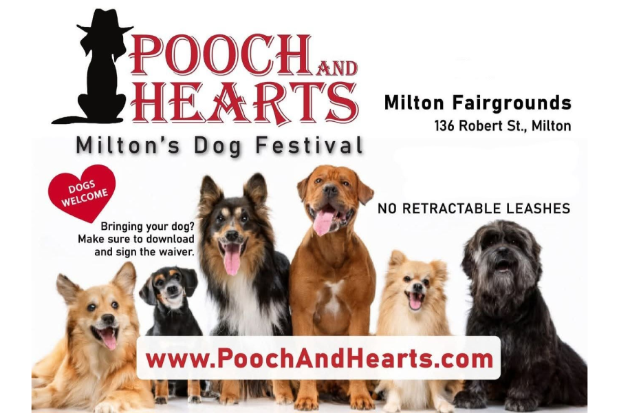 CDRO at Pooch and Hearts Milton