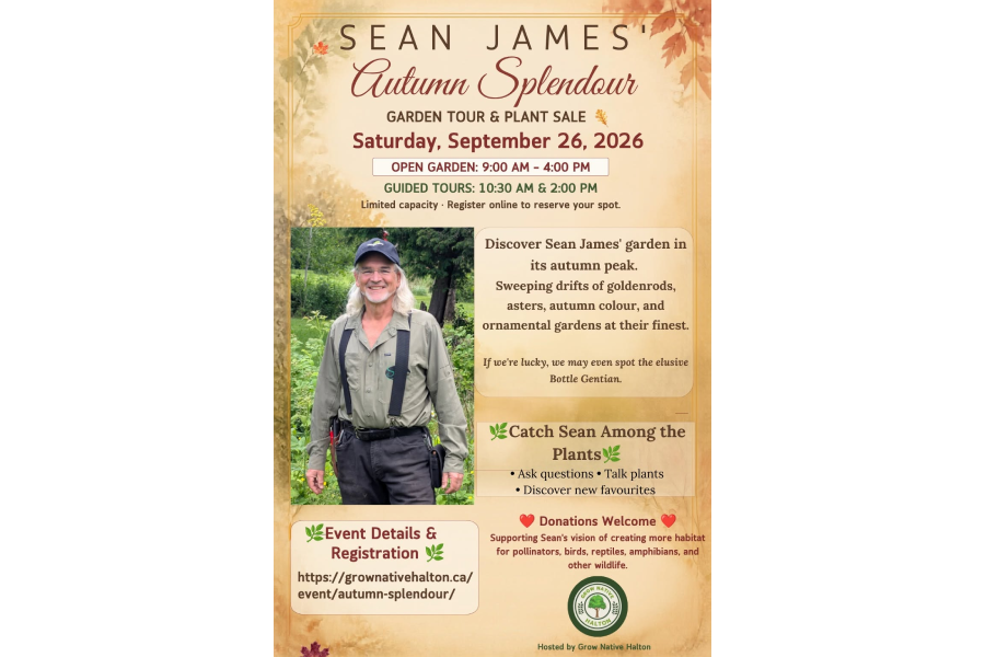 GNH: Autumn Splendour - Sean James Native Plant Sale