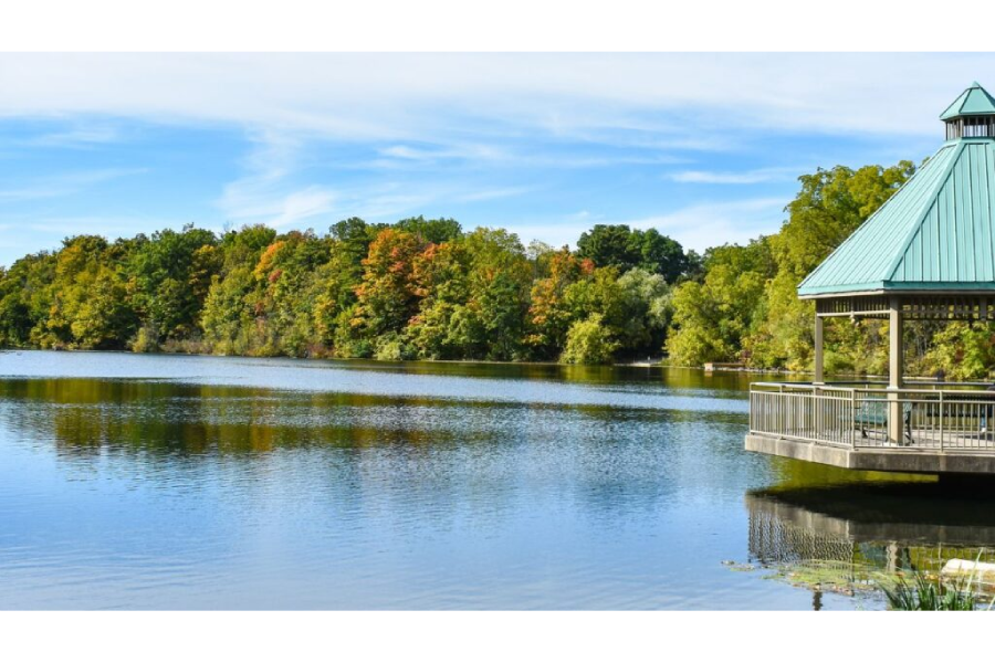 Walking Group around the Mill Pond